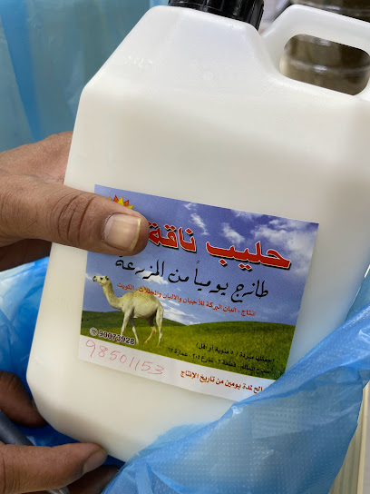 البان بركة - Kuwait|Sabah Al Salem|63XM+PWM