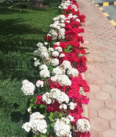 وزارة المالية - العقيلة - +965 2248 0000