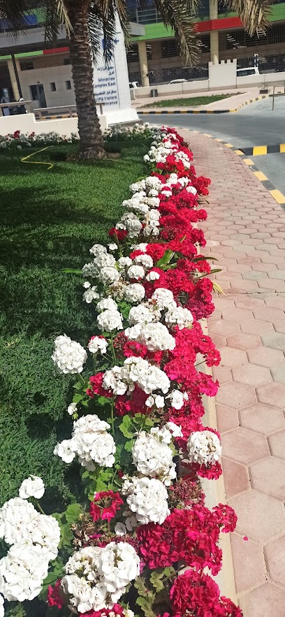 وزارة المالية - Kuwait|Kuwait City|9X8G+2W9