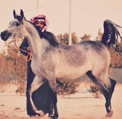 مربط العربي المالك دخّيل مطر العتيبي - مدينة الكويت -