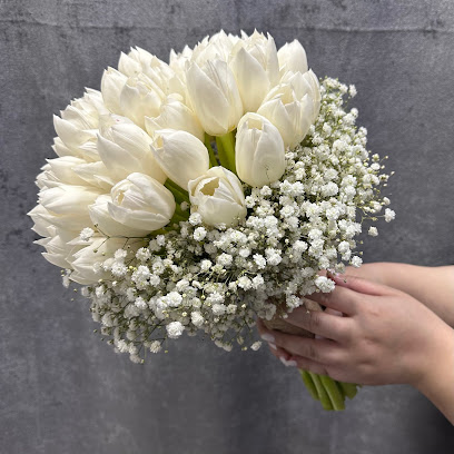 عيادة سازديل - سازديل كلينك الكويت - العقيلة - +965 6070 1109