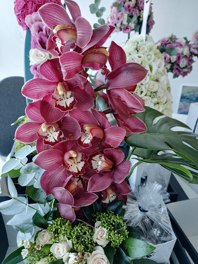 بليمس - Kuwait|Floor 14 City Tower Khalid Bin Al Waleed Street Sharq Kuwait