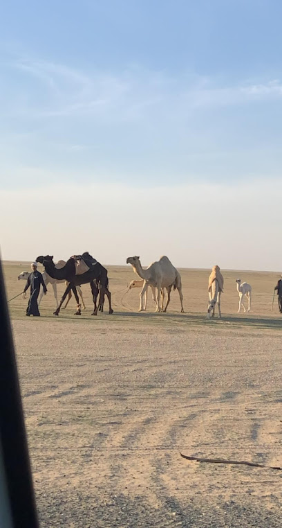 معسكر عريفجان - Kuwait|Sabah Al Ahmad|V5G6+73V
