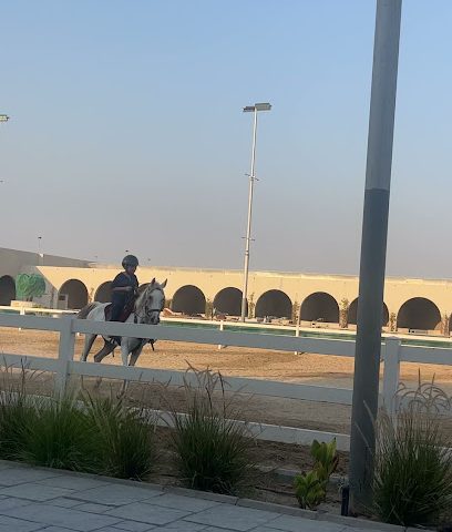 مزرعة الخيول الطيار - مدينة الكويت - +965 502 95553