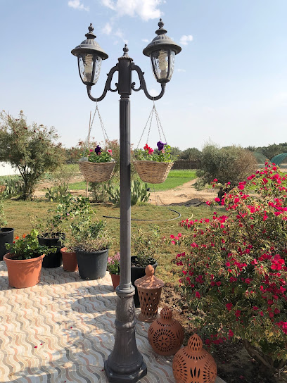 مزرعة النوادر - Kuwait|Al Wafrah|طريق 800|J32W+H4C