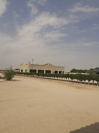 استاد البحيري - Kuwait|Al Wafrah|H3XP+FHW