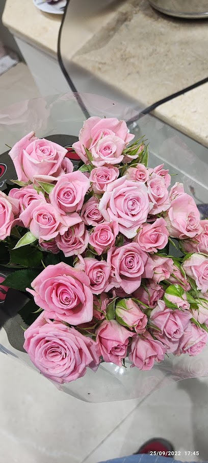 أزهار أطياب - Kuwait|Hawally|82QF+499