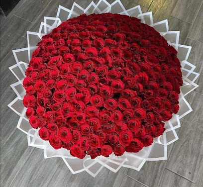 فلورادووركو - حولي -