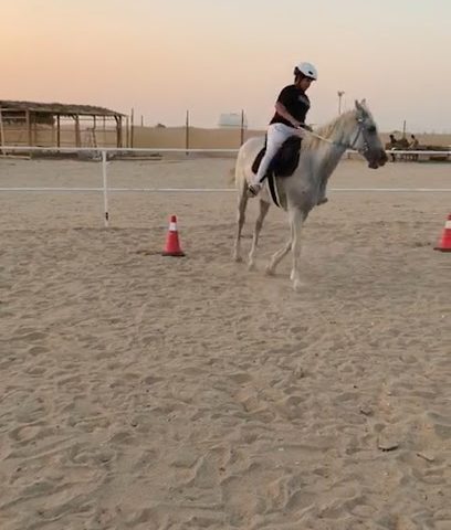 اكاديميه الخيال حلبة و ميدان تدريب ركوب خيل Horsriding training camp - الكويت - +965 505 63020