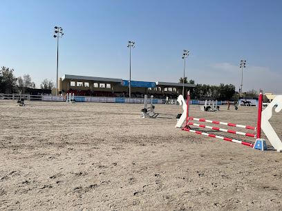 مركز ركوب المسيلة - فنيطيس -