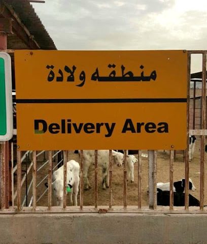 مزرعة العبدالكريم - ضاهر - +965 9999 1305