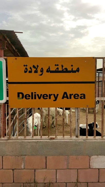 مزرعة العبدالكريم - Kuwait|Unnamed Road