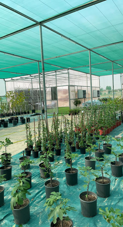 حضانة مدينة الوفرة مشتل ابو يوسف - Kuwait|Al Wafrah|500