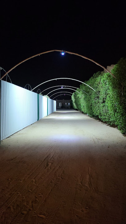 مزرعك الهيا - Kuwait|Al Wafrah|مزرعة وصايف، Unnamed Road