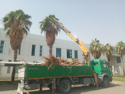 KDC - حولي ،، -