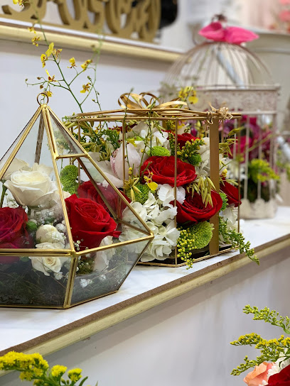 جنتي_بالونز - Kuwait|Al Jahra|9340 Abdulla Fahad Al Lafi|#28 ground floor