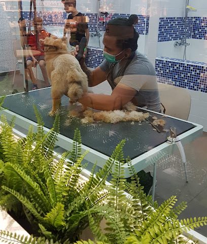 بيت الحظيرة - صباح السالم - +965 2228 5911