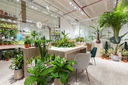 GARDEN TOUCH - جاردن تش - مدينة الكويت - +965 9222 0251
