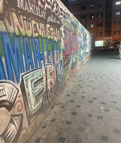 مؤسسة بدر محمد الصايغ العقارية - السالمية -