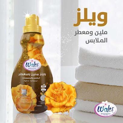 شركة كيان الكويت - مدينة الكويت - +965 6777 2292