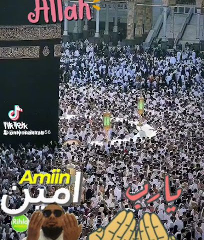 حضانة كيوت كيدز العقيلة - مدينة الكويت - +965 9934 9466