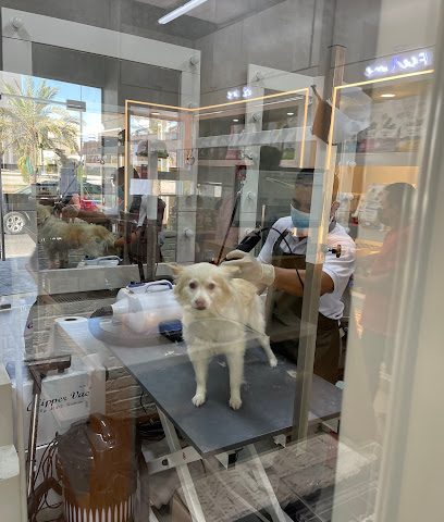 فرع بيت كاسل السالمية - صباح السالم - +965 506 67002