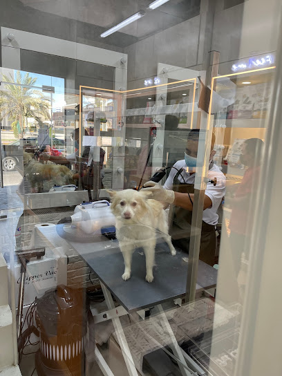 فرع بيت كاسل السالمية - Kuwait|Salmiya|Opp Anjafa|Primary School