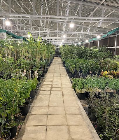 Jananursery مشتل جنى - صباح السالم - +965 6655 9780