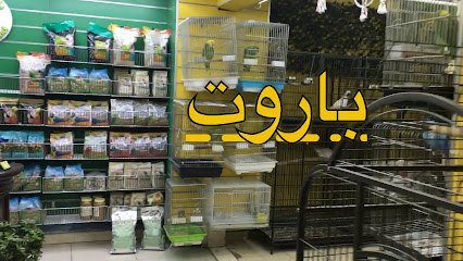 باروت لاند - صباح السالم - +965 9660 0063