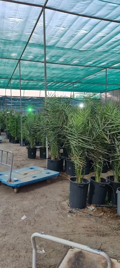 مركز نخيل الخليج - Kuwait|Al Wafrah|Unnamed Road|H3JG+QWP