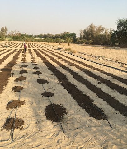 مزرعة بطاح الدويهيس - السالمية ، - +965 6644 9911