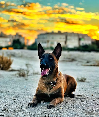 مركز K9 الكويت - صباح السالم - +965 9994 1409