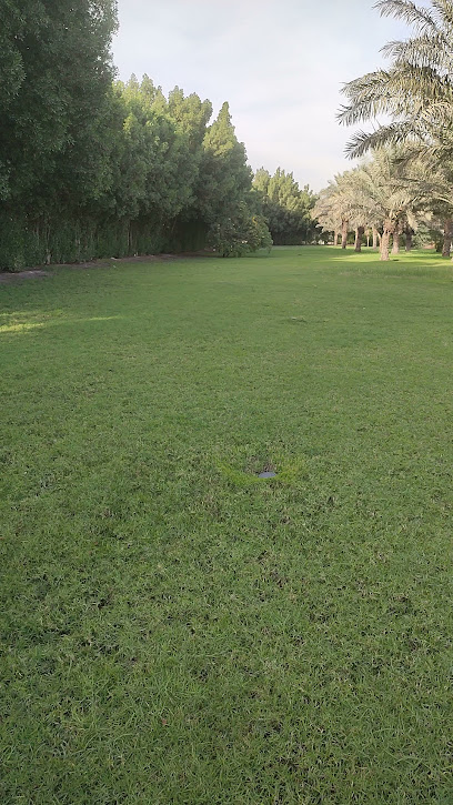 متجر ذوبان - Kuwait|Mangaf|34HQ+HPJ
