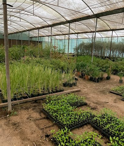 حضانات العبدلي - صباح السالم - +965 9754 9994