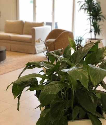 مركز نفس الصحي - مبني المسيلة-مستشفى السلام الولي، شارع بورسعيد - +965 550 56699