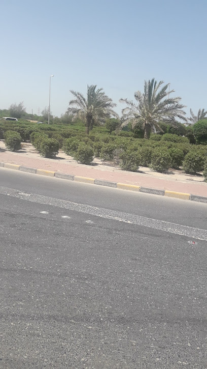 حزام أخضر - Kuwait|Ali Sabah Al Salem|101 Rd|X49P+G9M