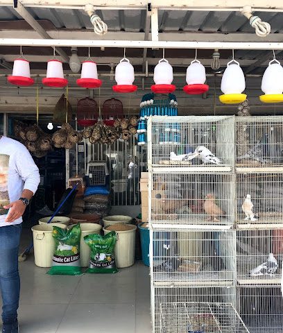 بيت الطيور - صباح السالم - +965 6673 7573