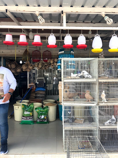 بيت الطيور - Kuwait|shop 11
