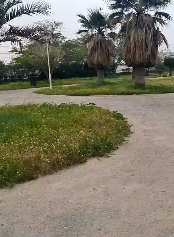 حديقة - راي -