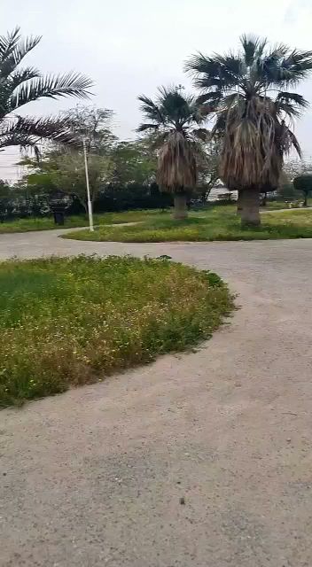 حديقة - Kuwait|1-11 10 St