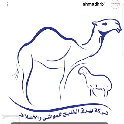 شركة بيرق الخليج للمواشي والاعلاف - صباح السالم - +965 9474 4999
