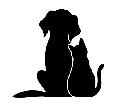 modern_pets - صباح السالم - +965 9090 4148