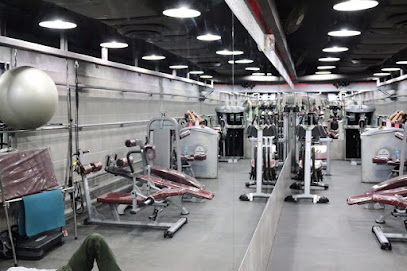 Titanium Shark Gym - Khaitan - +965 6090 4631