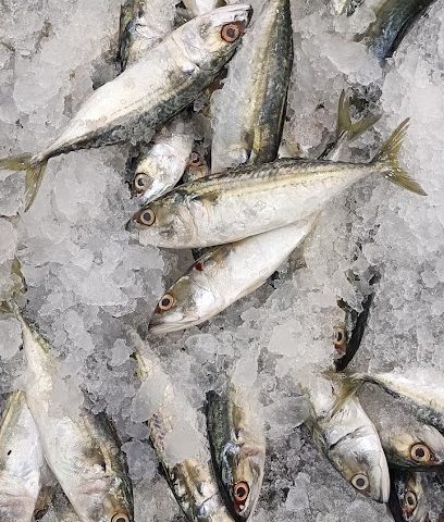 Fresh Fish Shop - Al Jahra - +965 513 28898