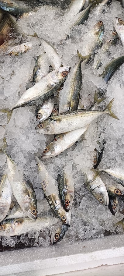 Fresh Fish Shop - Kuwait|Fahad Al Ahmad|44HF+HHV