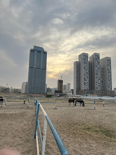 Horse riding field - مربط خيول - Kuwait|شارع 25