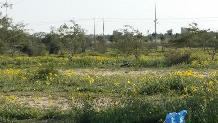 Barr Al-Wafi Garden - Al Jahra -