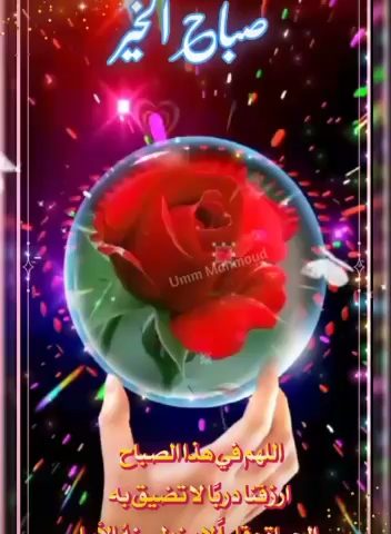 Al-Imam Al-Shafie (Boys) - Fintas - +965 2552 1795
