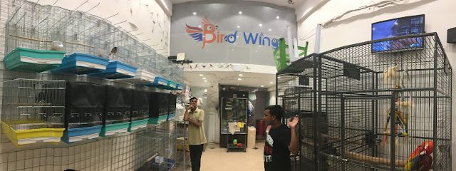 Birds Wings - Al Jahra - +965 9762 2626