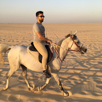 Alnouf Stud - مربط النوف - Kuwait City - +965 9791 6167